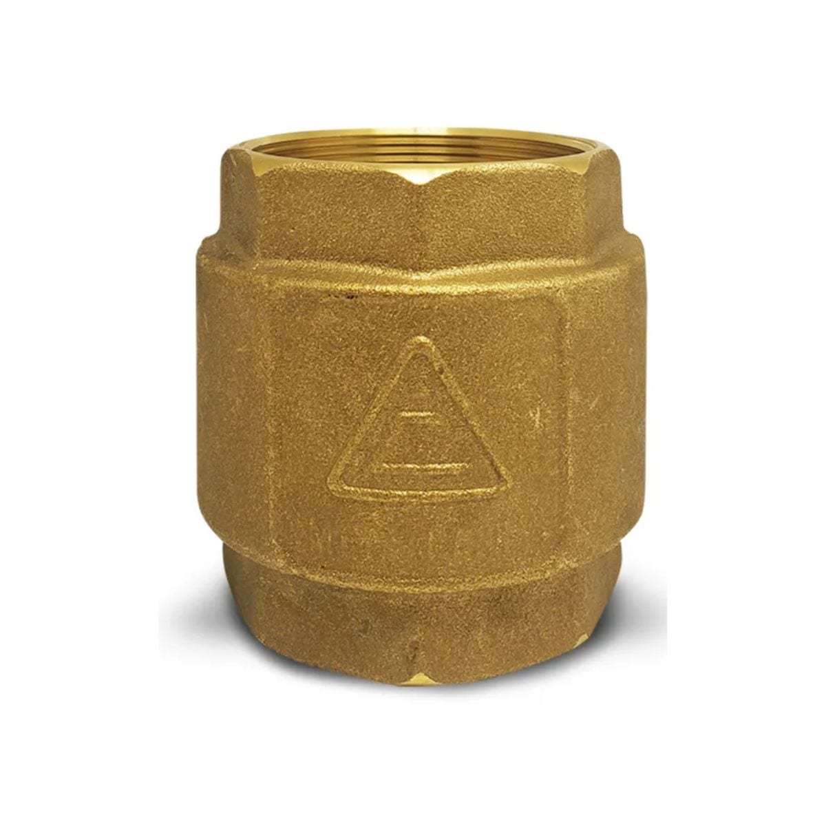 Valvula de Retenção 2 1/2" Vertic